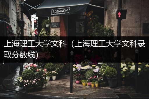 上海理工大学文科（上海理工大学文科录取分数线）