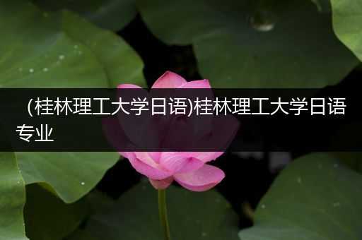 （桂林理工大学日语)桂林理工大学日语专业