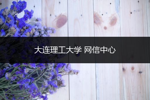 大连理工大学 网信中心