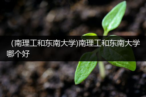 （南理工和东南大学)南理工和东南大学哪个好