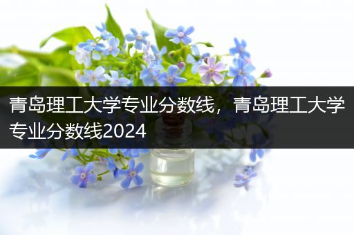 青岛理工大学专业分数线，青岛理工大学专业分数线2024