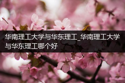 华南理工大学与华东理工_华南理工大学与华东理工哪个好