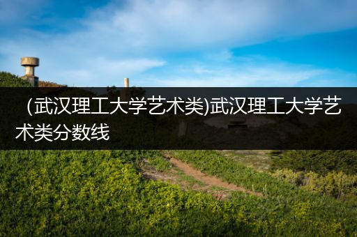 （武汉理工大学艺术类)武汉理工大学艺术类分数线