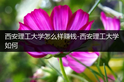西安理工大学怎么样赚钱-西安理工大学如何