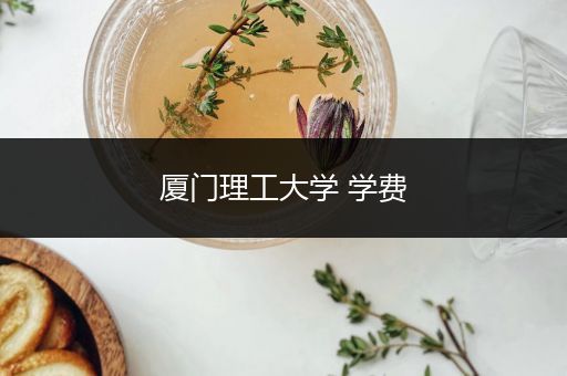 厦门理工大学 学费