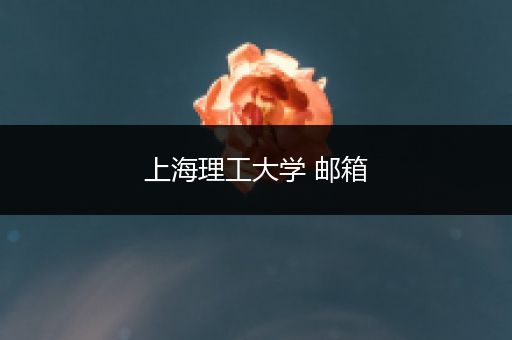 上海理工大学 邮箱