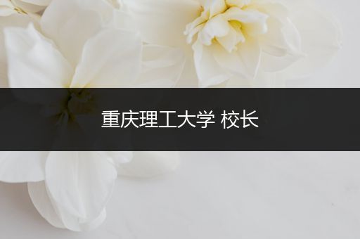 重庆理工大学 校长