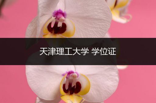天津理工大学 学位证