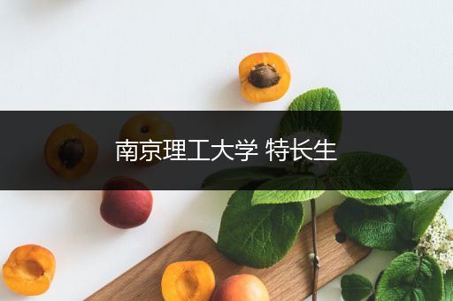 南京理工大学 特长生