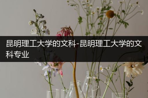 昆明理工大学的文科-昆明理工大学的文科专业