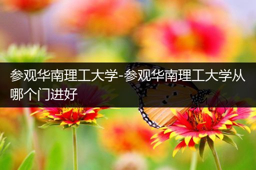 参观华南理工大学-参观华南理工大学从哪个门进好