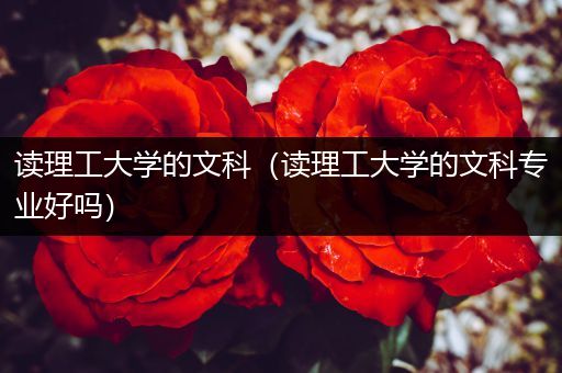 读理工大学的文科（读理工大学的文科专业好吗）