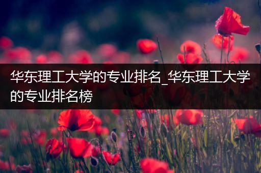 华东理工大学的专业排名_华东理工大学的专业排名榜