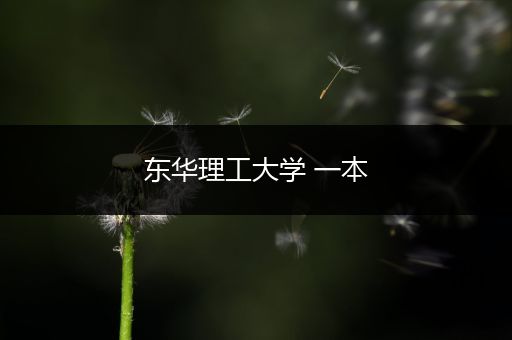 东华理工大学 一本