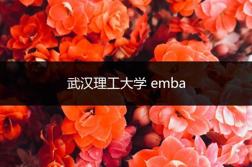 武汉理工大学 emba