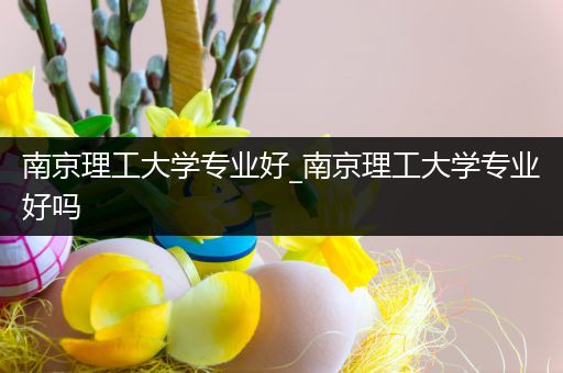 南京理工大学专业好_南京理工大学专业好吗
