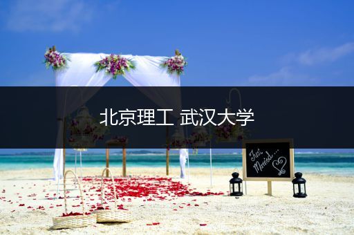 北京理工 武汉大学