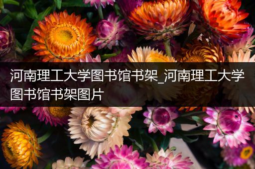 河南理工大学图书馆书架_河南理工大学图书馆书架图片