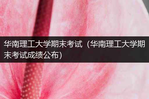 华南理工大学期末考试（华南理工大学期末考试成绩公布）