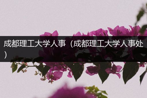 成都理工大学人事（成都理工大学人事处）