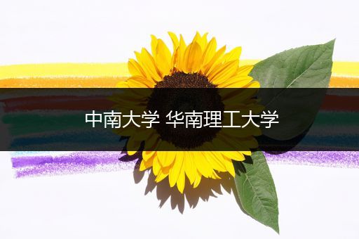 中南大学 华南理工大学