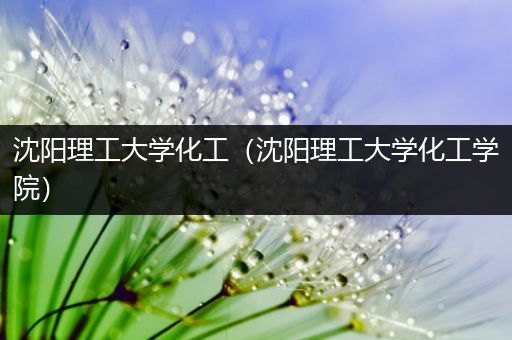 沈阳理工大学化工（沈阳理工大学化工学院）