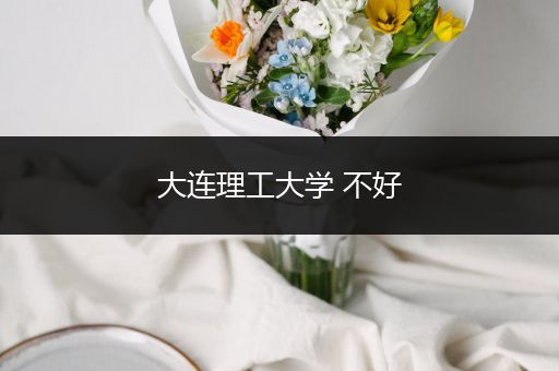大连理工大学 不好