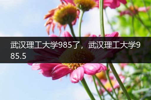 武汉理工大学985了，武汉理工大学985.5