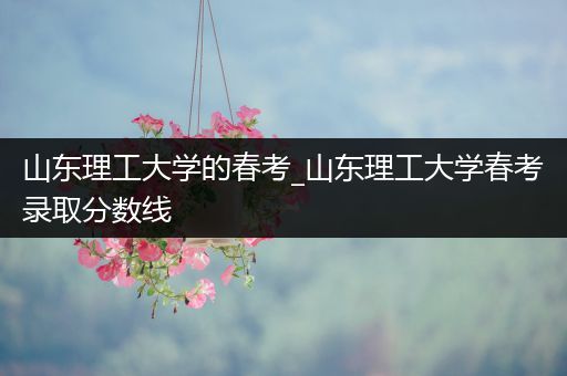 山东理工大学的春考_山东理工大学春考录取分数线