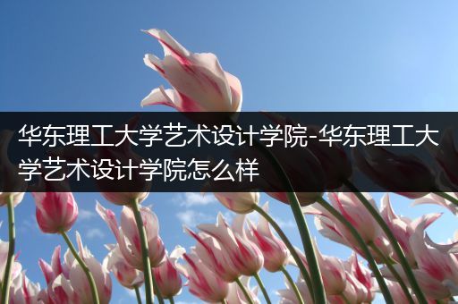 华东理工大学艺术设计学院-华东理工大学艺术设计学院怎么样