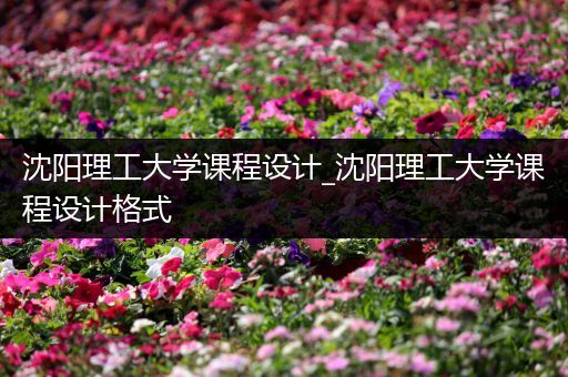 沈阳理工大学课程设计_沈阳理工大学课程设计格式