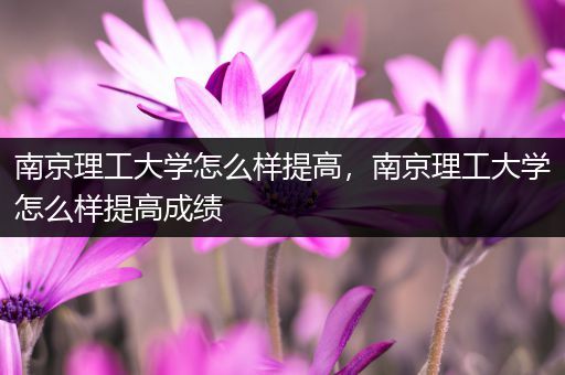 南京理工大学怎么样提高，南京理工大学怎么样提高成绩