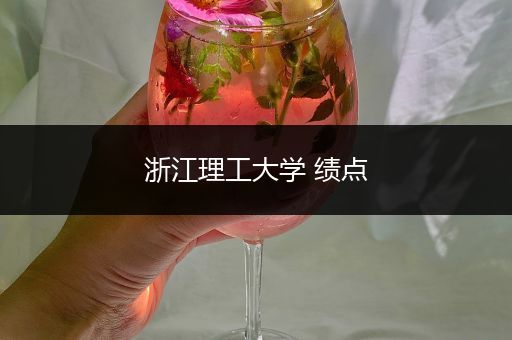 浙江理工大学 绩点