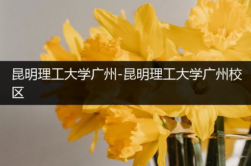 昆明理工大学广州-昆明理工大学广州校区