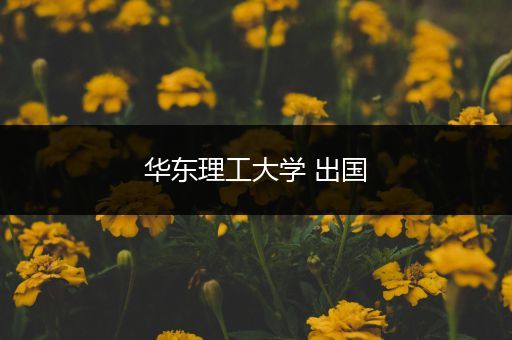 华东理工大学 出国