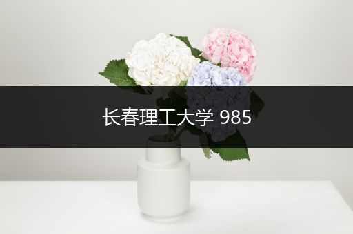 长春理工大学 985