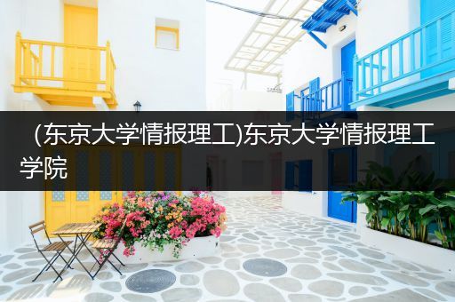 （东京大学情报理工)东京大学情报理工学院