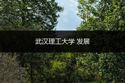 武汉理工大学 发展