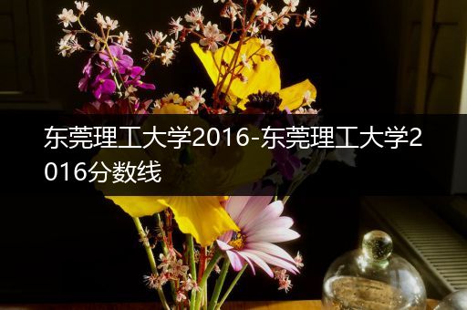 东莞理工大学2016-东莞理工大学2016分数线