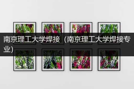 南京理工大学焊接（南京理工大学焊接专业）