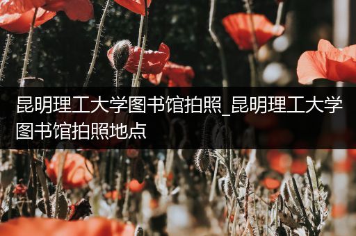 昆明理工大学图书馆拍照_昆明理工大学图书馆拍照地点