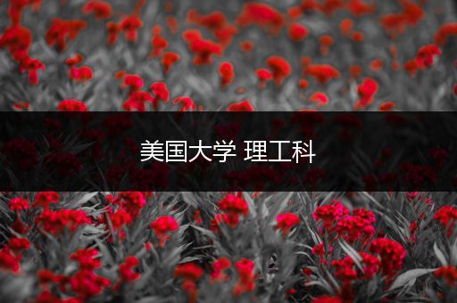 美国大学 理工科