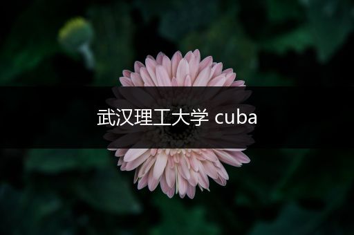 武汉理工大学 cuba
