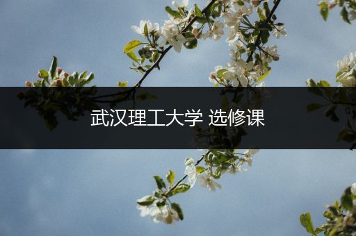 武汉理工大学 选修课