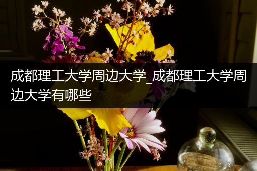 成都理工大学周边大学_成都理工大学周边大学有哪些