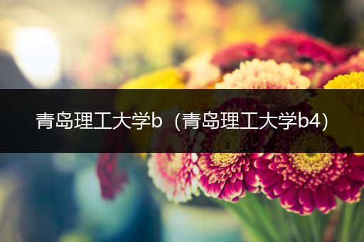 青岛理工大学b（青岛理工大学b4）