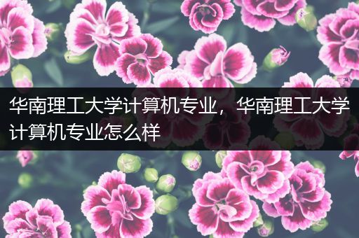 华南理工大学计算机专业，华南理工大学计算机专业怎么样
