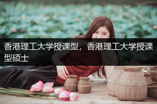 香港理工大学授课型，香港理工大学授课型硕士