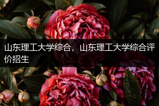 山东理工大学综合，山东理工大学综合评价招生