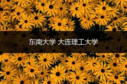 东南大学 大连理工大学